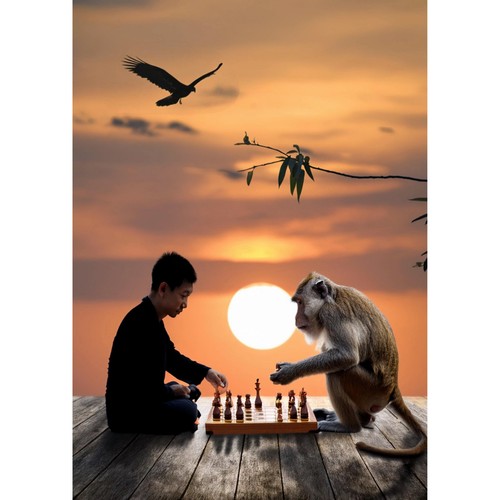 Postkarte schach junge affe - junge,