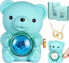 Ewige Rose Teddybär