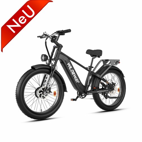 2000w dual motor - 2000w, 26