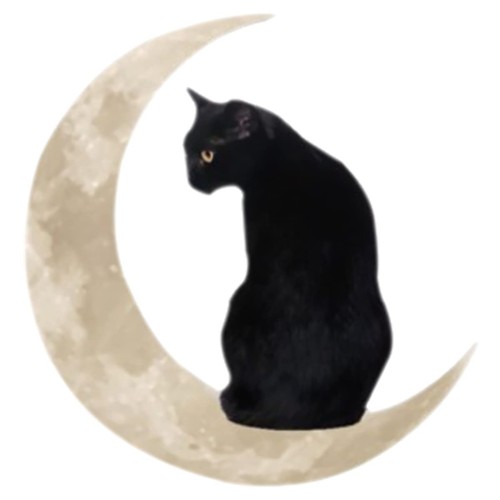 Metall wanddeko schwarze katze - wanddeko,