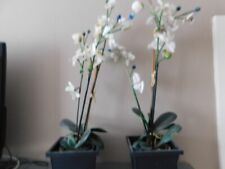 2 große künstliche Orchideen