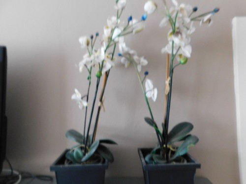 Große künstliche orchideen - 2,