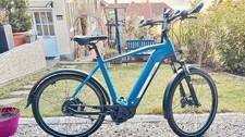 Victoria  Avylon 5 E-Bike