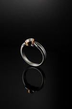 750 Gold Ring Leo Wittwer