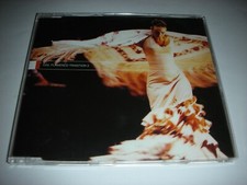 Beginners Guide to Flamenco -