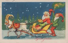 Neujahr Weihnachten PFERD