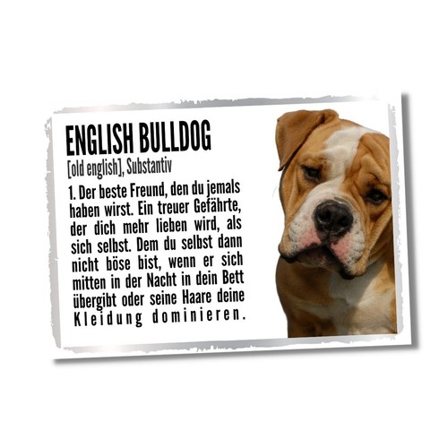 Englische bulldogge duden hund - duden,