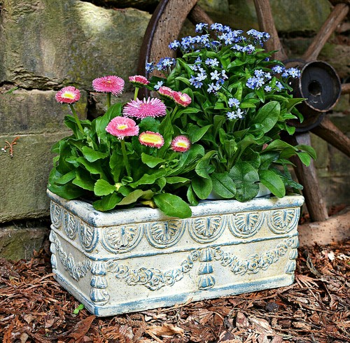 Blumenkasten jardiniere - ❀,
