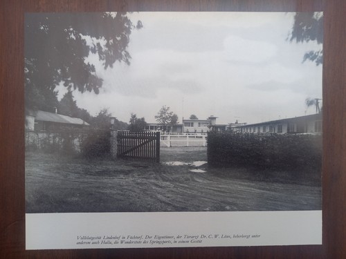 Füchtorf gestüt lindenhof - füchtorf,,