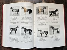 1949 Deutsche Pferdezucht nach