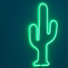 LED Wandleuchte Kaktus mit Timer Grün Neon Lampe Licht Schild Wanddeko Deko