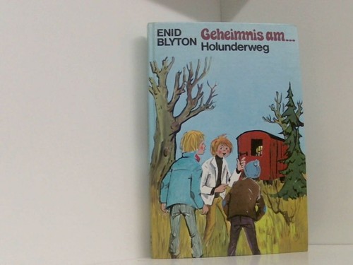 Geheimnis holunderweg 3 - geheimnis, [3
