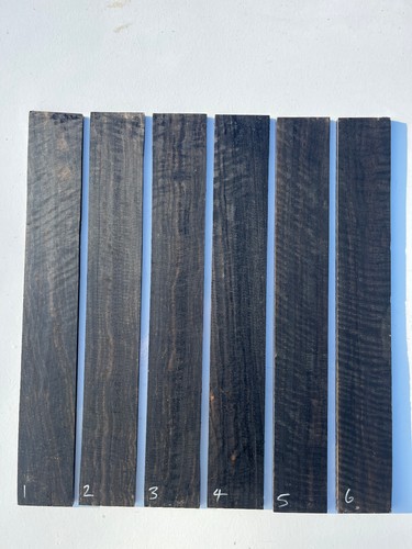 Curly african ebony gitarre - curly,