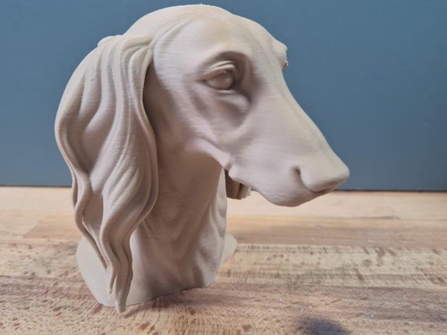 Saluki büste realistic - saluki, –