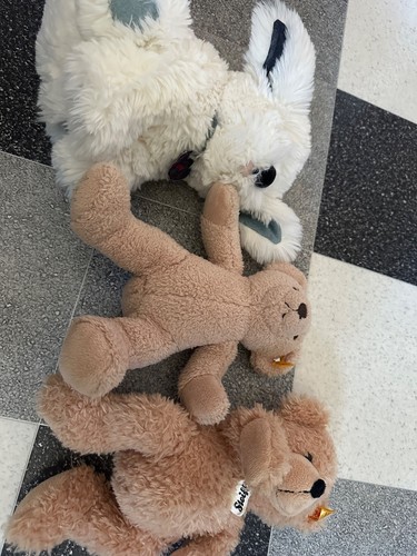 Steiff kuscheltiere standen - steiff, kuscheltiere,