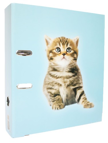 Adina motivordner 8cm - 8cm, katze