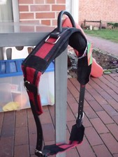 Longiergurt /Reithilfe mit