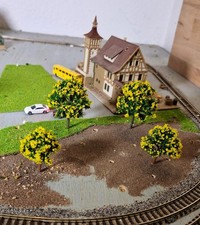 10 gelb blühende Bäume