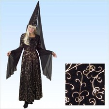 Kostüm Burgfräulein Gr. 40