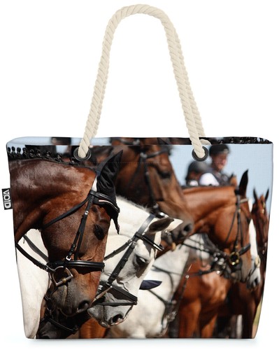 Pferde reiter reitsport - pferde,