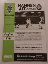 Fohlen echo borussia - fohlen,