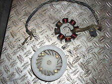 Lichtmaschine komplett Flex Tech Cityleader Rex RS Jackfox Baotian Quingli  