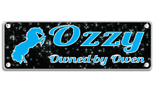 Schwarz-Blau Pferd Stall