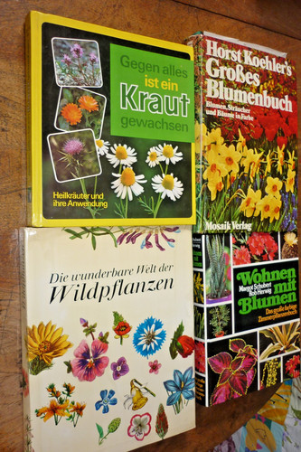 Wildpflanzen.Blumen,Garten,Hei