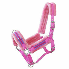 Kappzaum Halfter Kombi "Clever" FULL Pferdekappzaum Pferdehalfter Longierhalfter