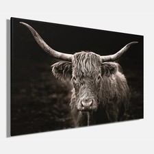 Wandbild HOCHLANDRIND ca