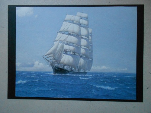 Marine print american - print,
