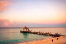 Wandbild: Holzpavillon mit