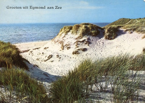 Alte postkarte groeten uit - -,