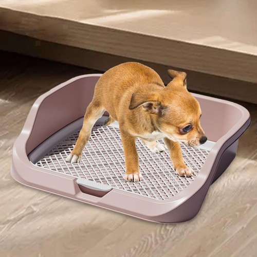Hundetoilette bequem - hundetoilette,,