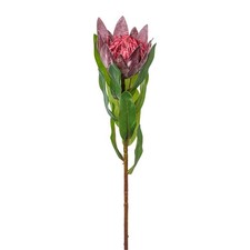 Kunstblume Protea, 3er Set