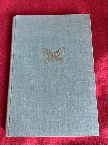 Die schmetterlinge - die,