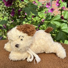 Kuschelwuschel Hund Katze