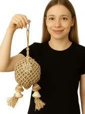 Bunte Papageienblume –