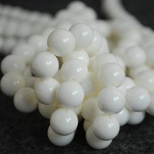 Weiße Tridacna (Hippopus)