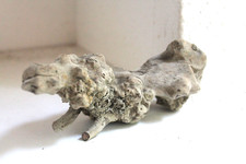 Schwemmholz Treibholz Skulptur L 18 cm Treibgut Krokodil Reptil Löwe