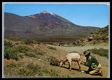 Ansichtskarte El Teide /