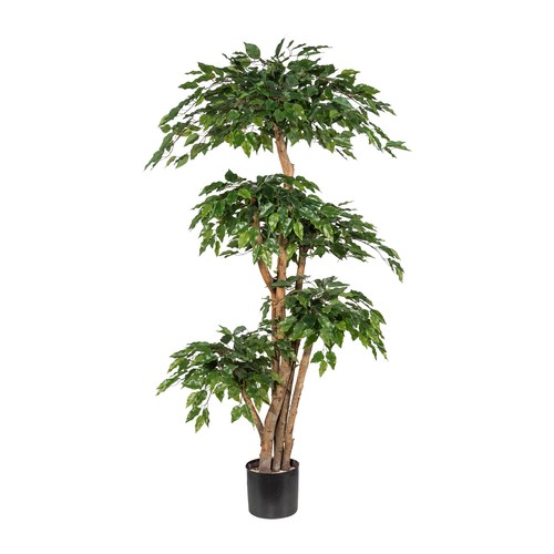 Kunstpflanze ficus benjamini - kunstpflanze,