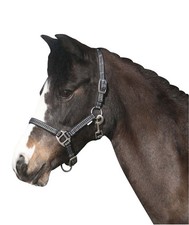 Horse Guard RIO Halfter -