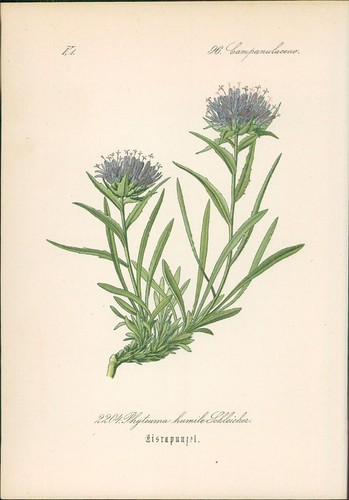 Chromolithographie - ,
