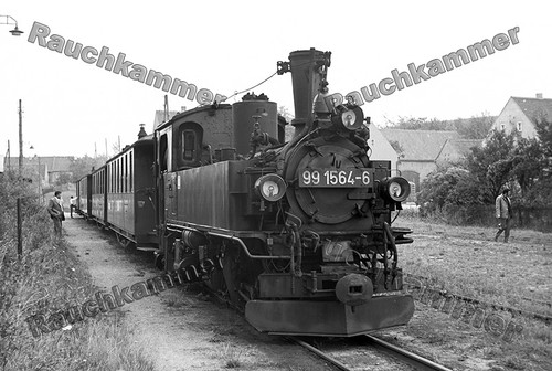 Fotoabzug 10x15 99 - pe-fotoabzug, dr