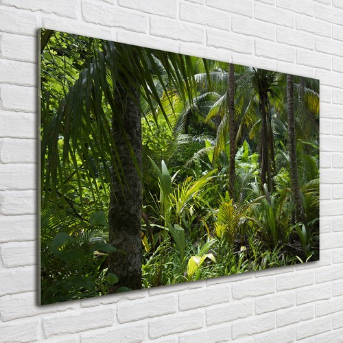 Acrylglas bild wandbilder - acrylglas-bild,