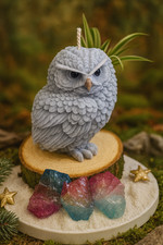 Eule Kerze Sojawachs