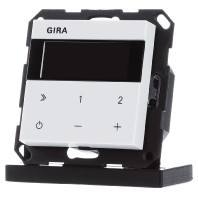 Gira radio reinweiß - ip,
