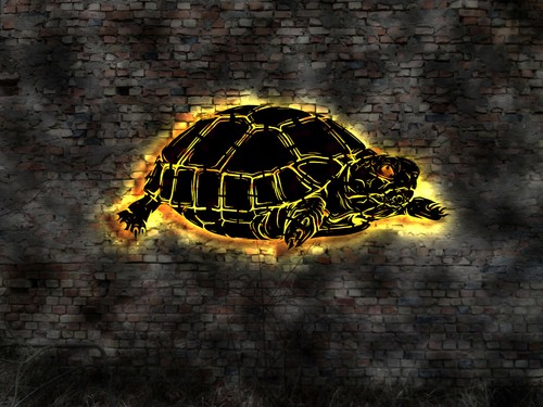 Led wandbild schildkröte - led,