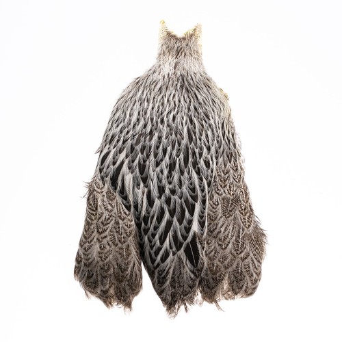 Whiting brahma henne cape - brahma,